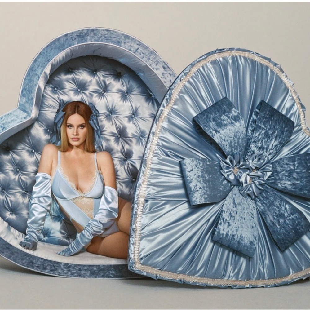 NWT Skims Velvet Lace Teddy Sz SMALL in Periwinkle
